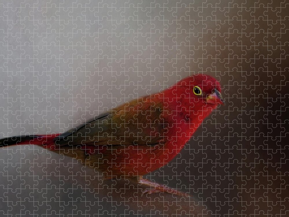 Animal Jigsaw Puzzle featuring the photograph Red-Billed Firefinch by Lana Trussell