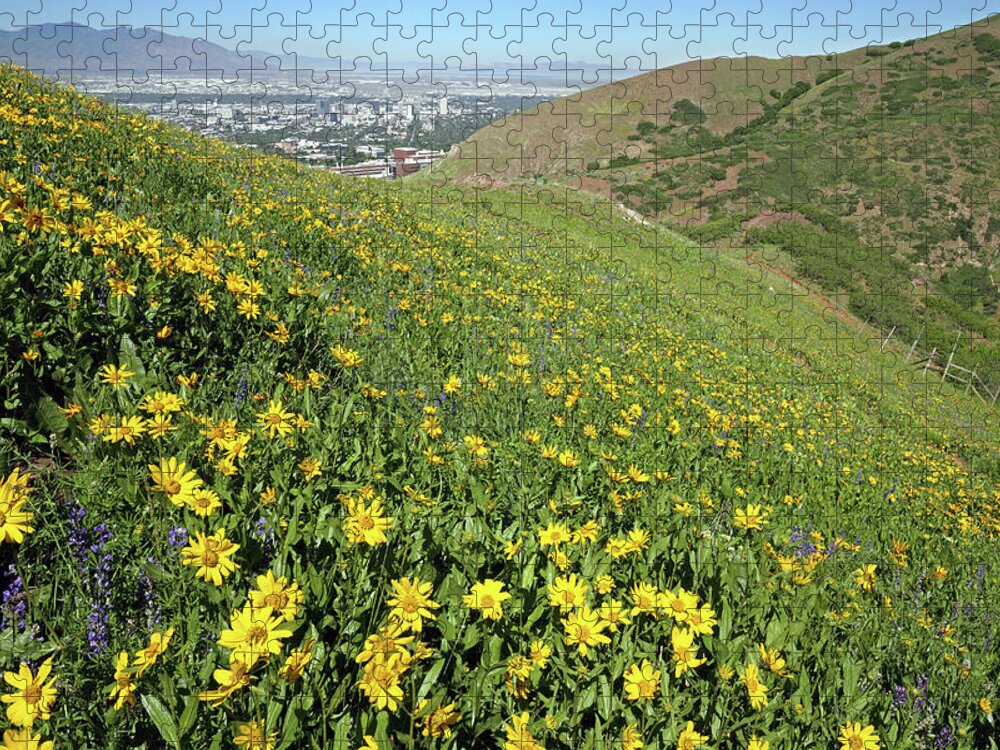 Utah Jigsaw Puzzle featuring the photograph Red Butte Canyon Wildflowers - Salt Lake City, Utah by Brett Pelletier