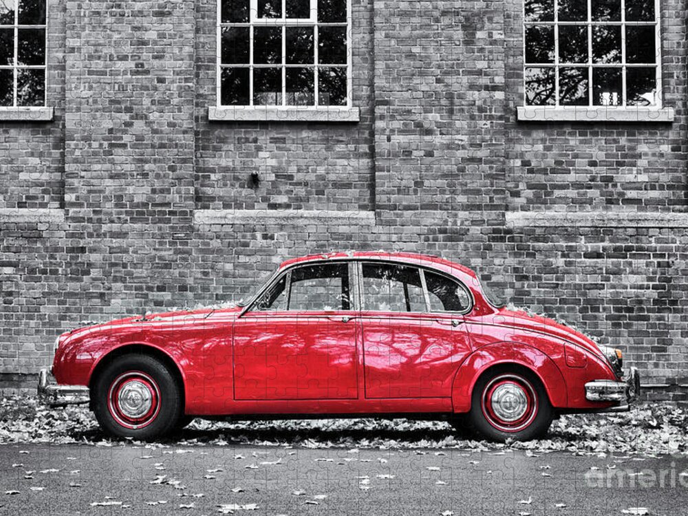 Jaguar Jigsaw Puzzle featuring the photograph Red Jag by Tim Gainey
