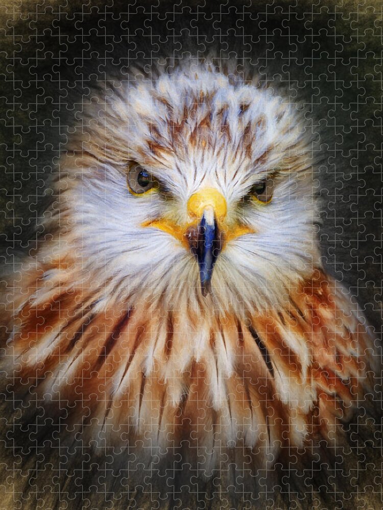 Red Jigsaw Puzzle featuring the digital art Red Kite by Ian Merton
