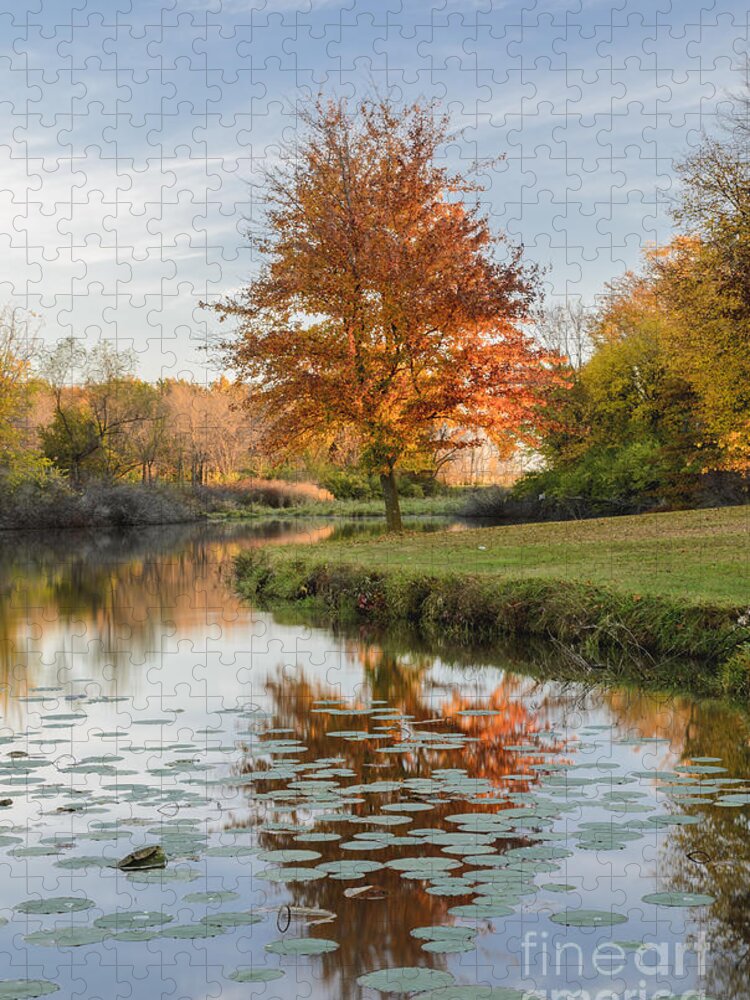 Red Maple Tree Jigsaw Puzzle featuring the photograph Red Maple Tree Reflection at Sunrise by Tamara Becker