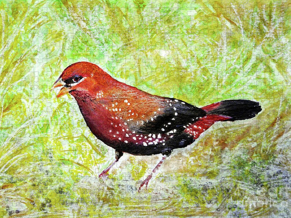 Bird Jigsaw Puzzle featuring the painting Red Munia by Jasna Dragun