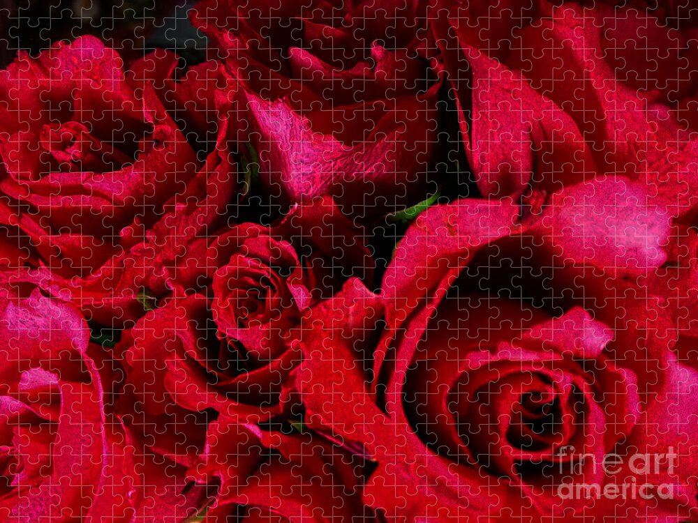 Flowers Jigsaw Puzzle featuring the photograph Red Passion by Jasna Dragun