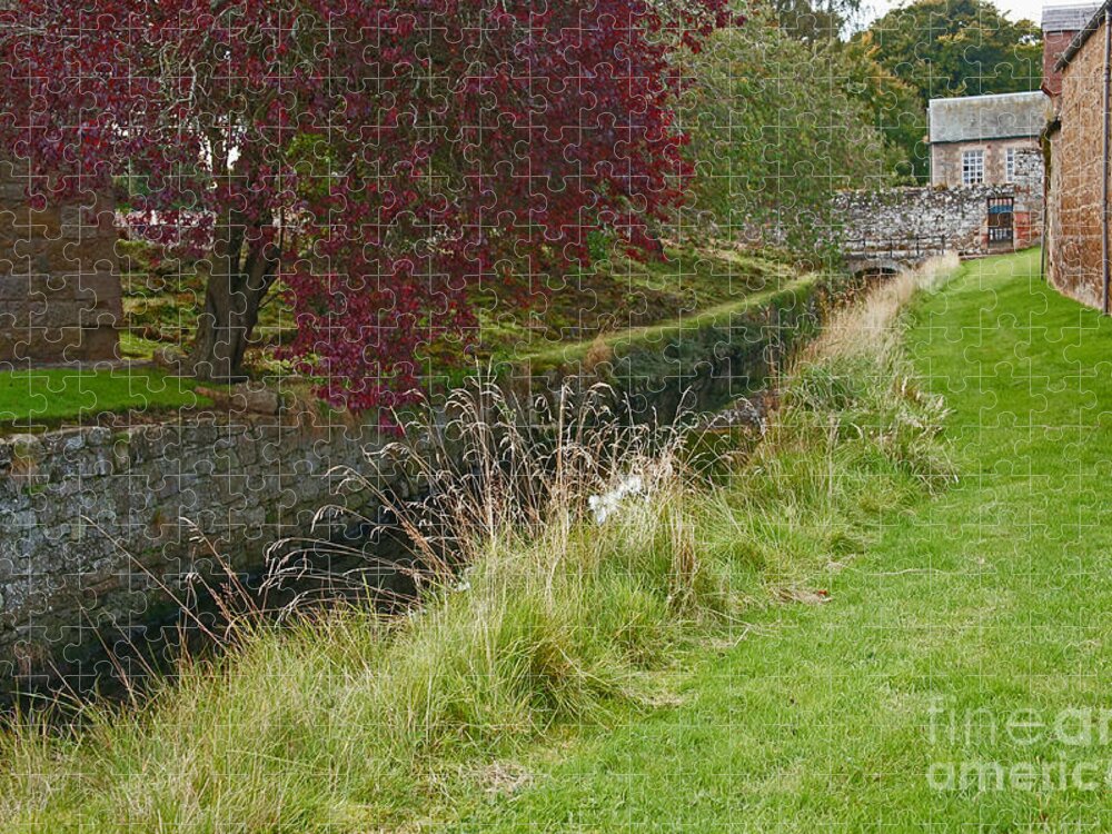 Red Tree Jigsaw Puzzle featuring the photograph Red Tree at the old water duct by Elena Perelman
