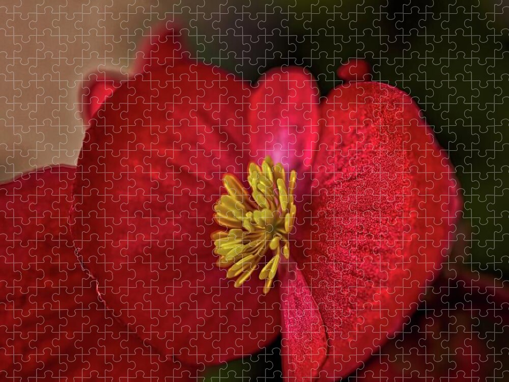 Hdr Photography Jigsaw Puzzle featuring the photograph Red Wax Begonia by Richard Gregurich