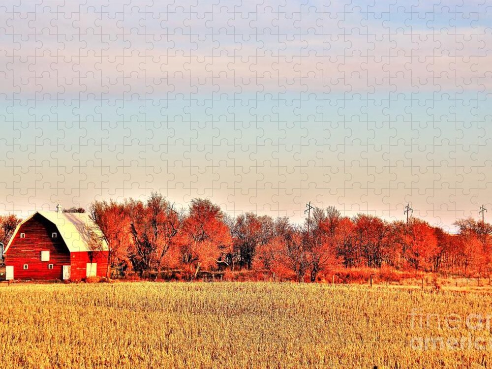 Barn Jigsaw Puzzle featuring the photograph Reds and Oranges by Merle Grenz