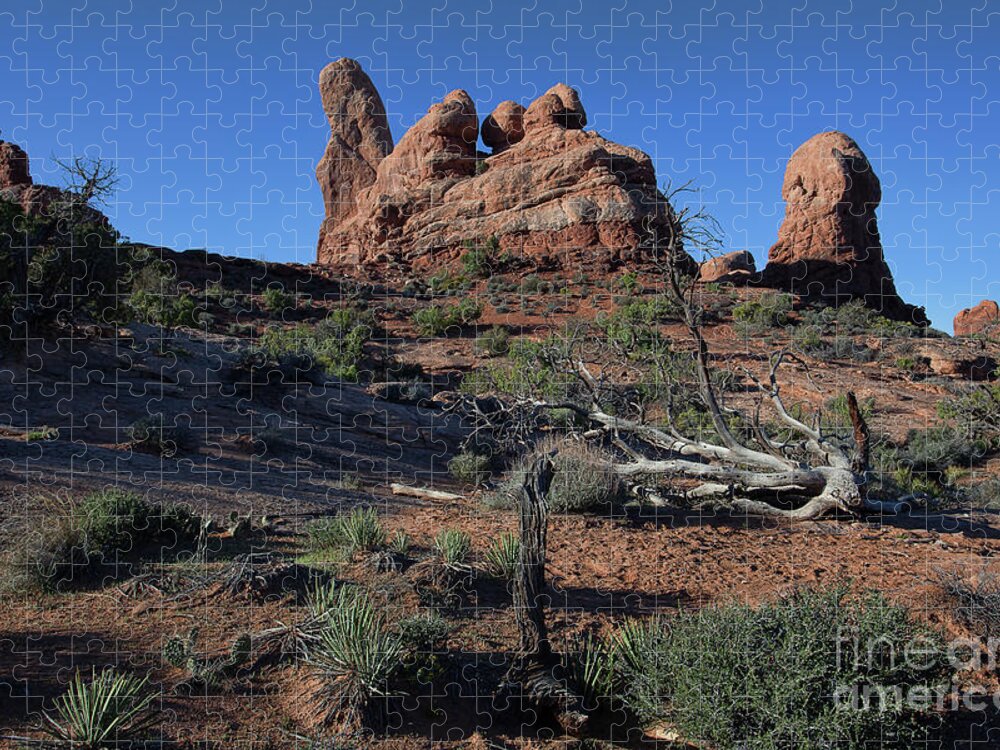 Utah Landscape Jigsaw Puzzle featuring the photograph Twisted Garden by Jim Garrison