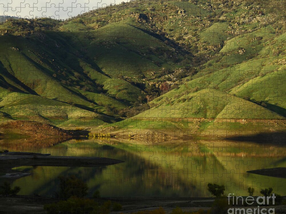 Reflection Jigsaw Puzzle featuring the photograph Reflection and Shadows by Debby Pueschel