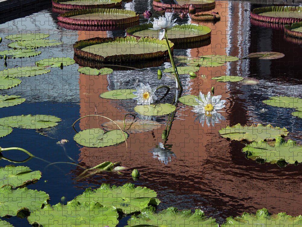 Photograph Jigsaw Puzzle featuring the photograph Reflections II by Suzanne Gaff