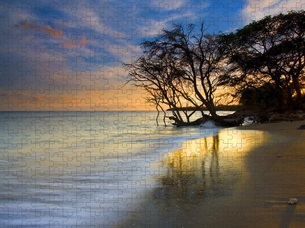 Waves Jigsaw Puzzle featuring the photograph Reflections of PAradise by Michael Dawson