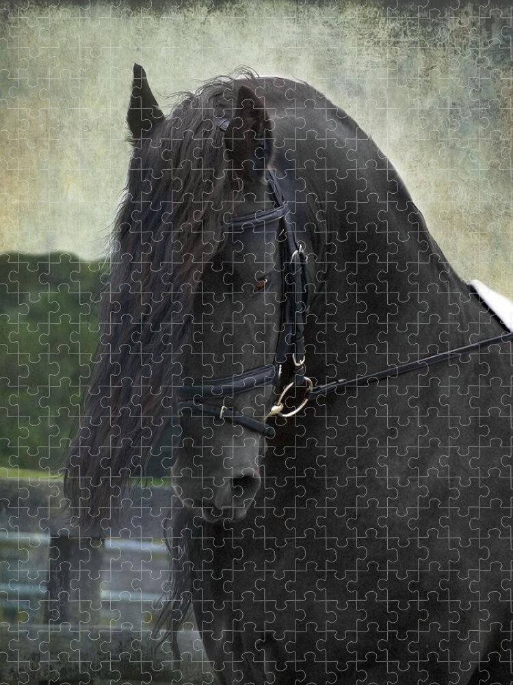 Horses Jigsaw Puzzle featuring the photograph Remme by Fran J Scott
