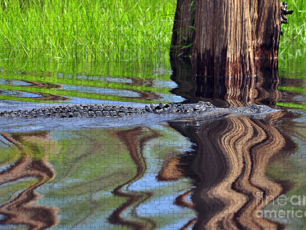Alligator Jigsaw Puzzle featuring the photograph Reptile Ripples by Al Powell Photography USA