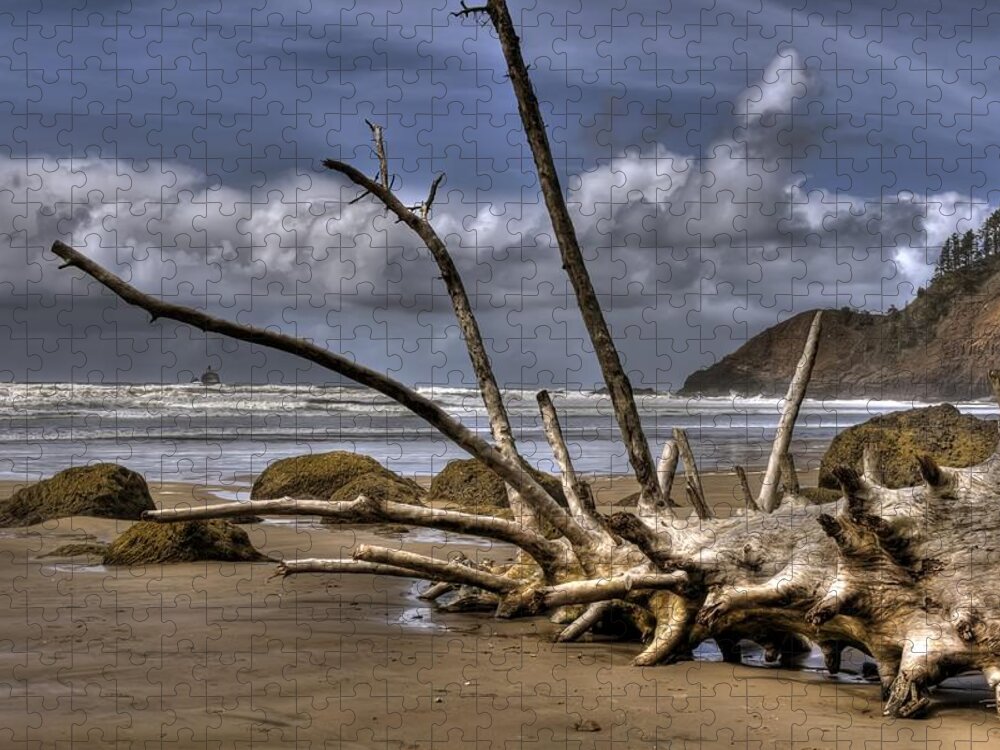 Hdr Jigsaw Puzzle featuring the photograph Resting by Brad Granger
