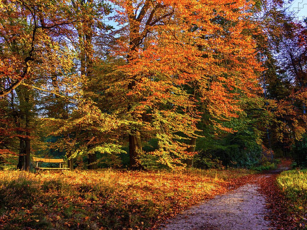 Alley Jigsaw Puzzle featuring the photograph Resting place in an autumn park by Dmytro Korol