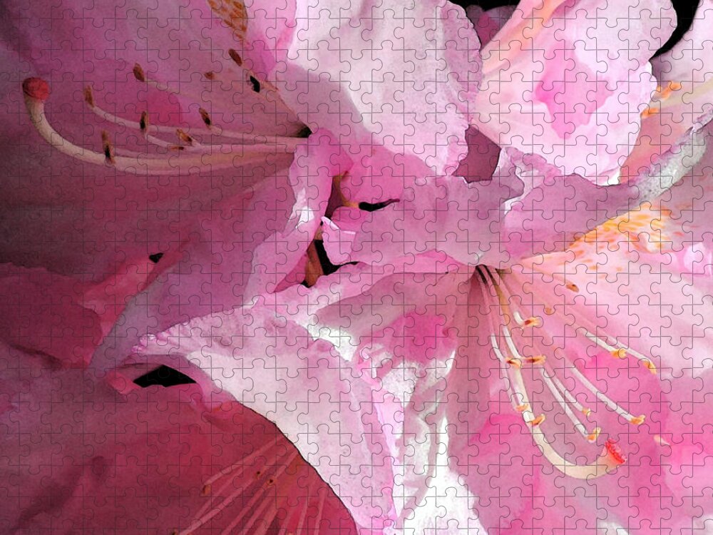 Flora Jigsaw Puzzle featuring the photograph Rhododendron on Black by Jodie Marie Anne Richardson Traugott     aka jm-ART