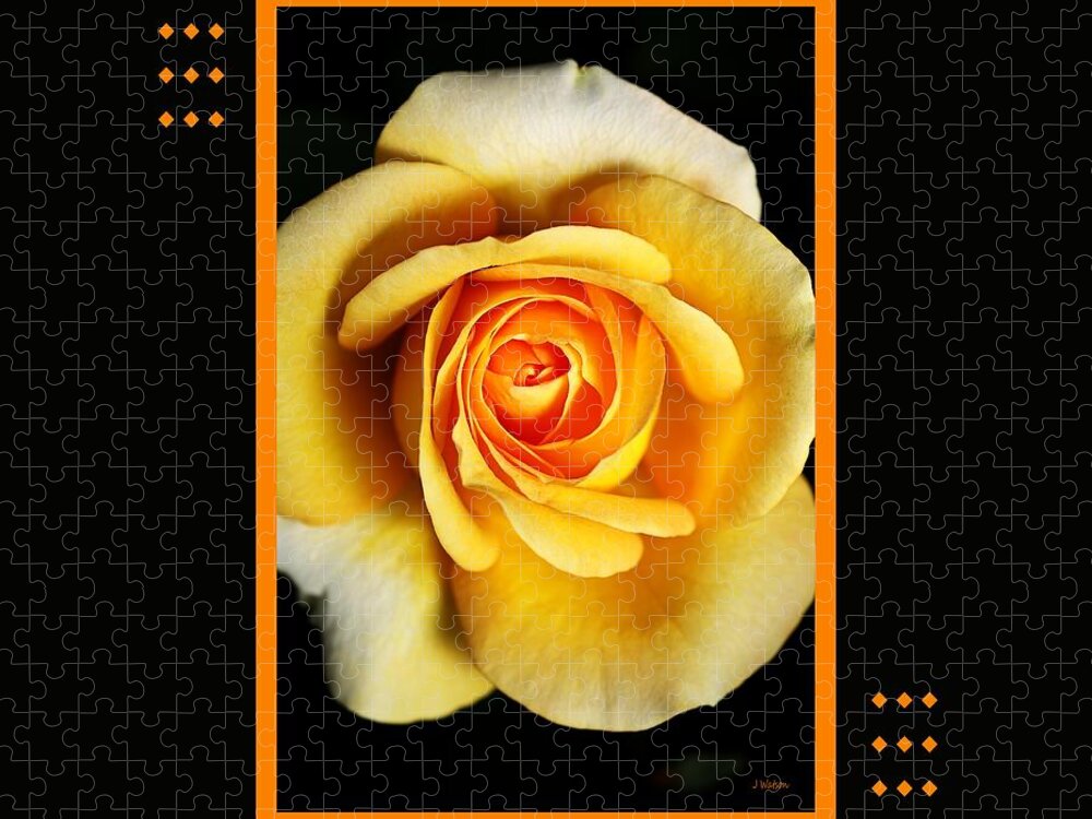 Rose Jigsaw Puzzle featuring the photograph Rich And Dreamy Yellow Rose With Design by Joy Watson
