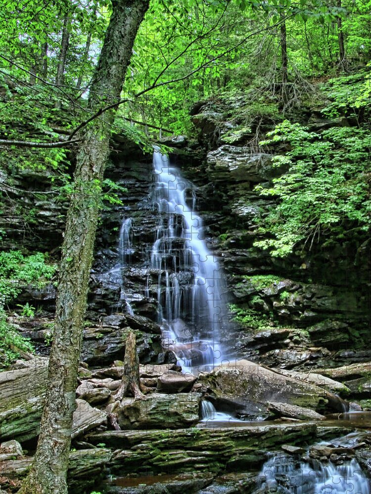 Waterfall Jigsaw Puzzle featuring the photograph Ricketts Glen S P - Ozone Falls by Allen Beatty