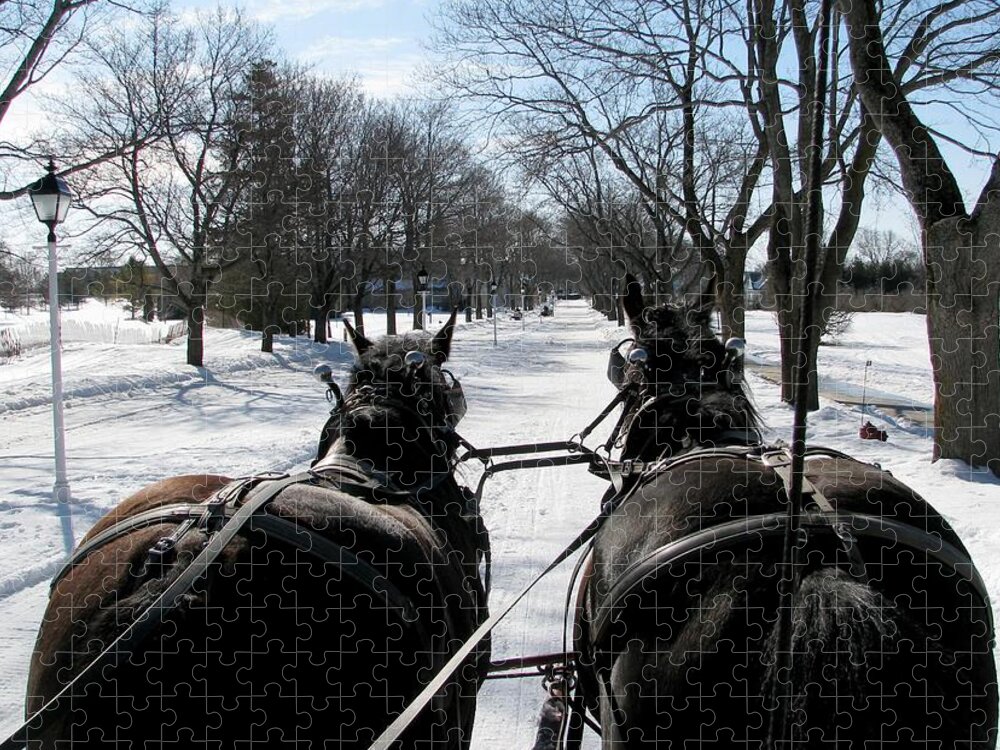 Winter Jigsaw Puzzle featuring the photograph Riding into Town by Keith Stokes