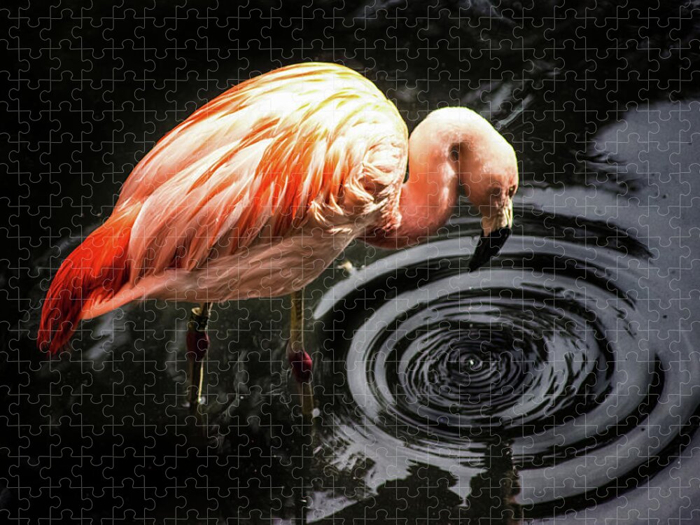 Flamingo Jigsaw Puzzle featuring the photograph Ripple by Martin Newman