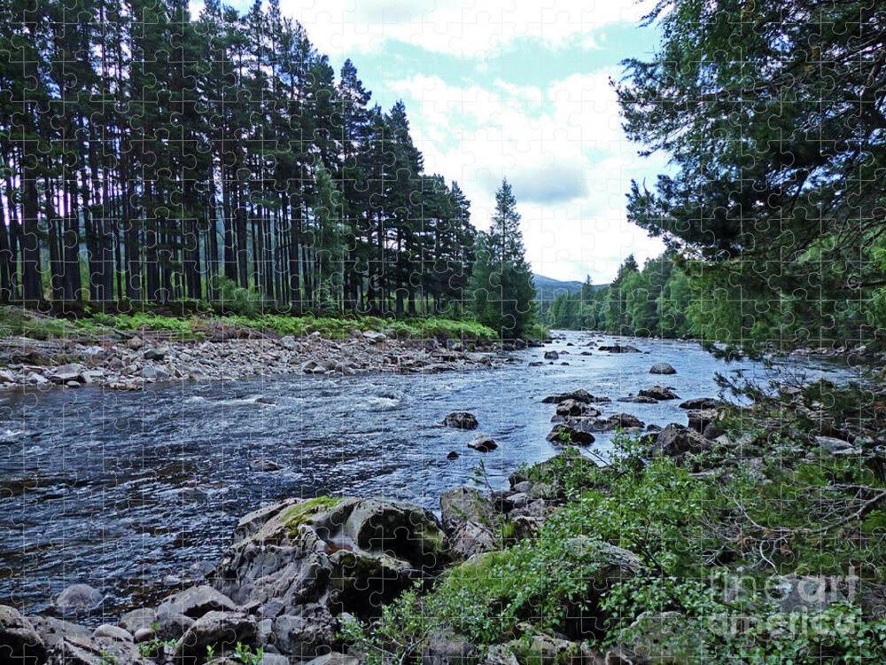 River Dee Jigsaw Puzzle featuring the photograph River Dee in Summer - Scotland by Phil Banks