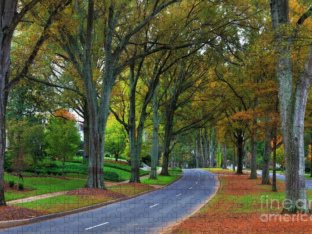 Willow Jigsaw Puzzle featuring the photograph Road in Charlotte by Jill Lang