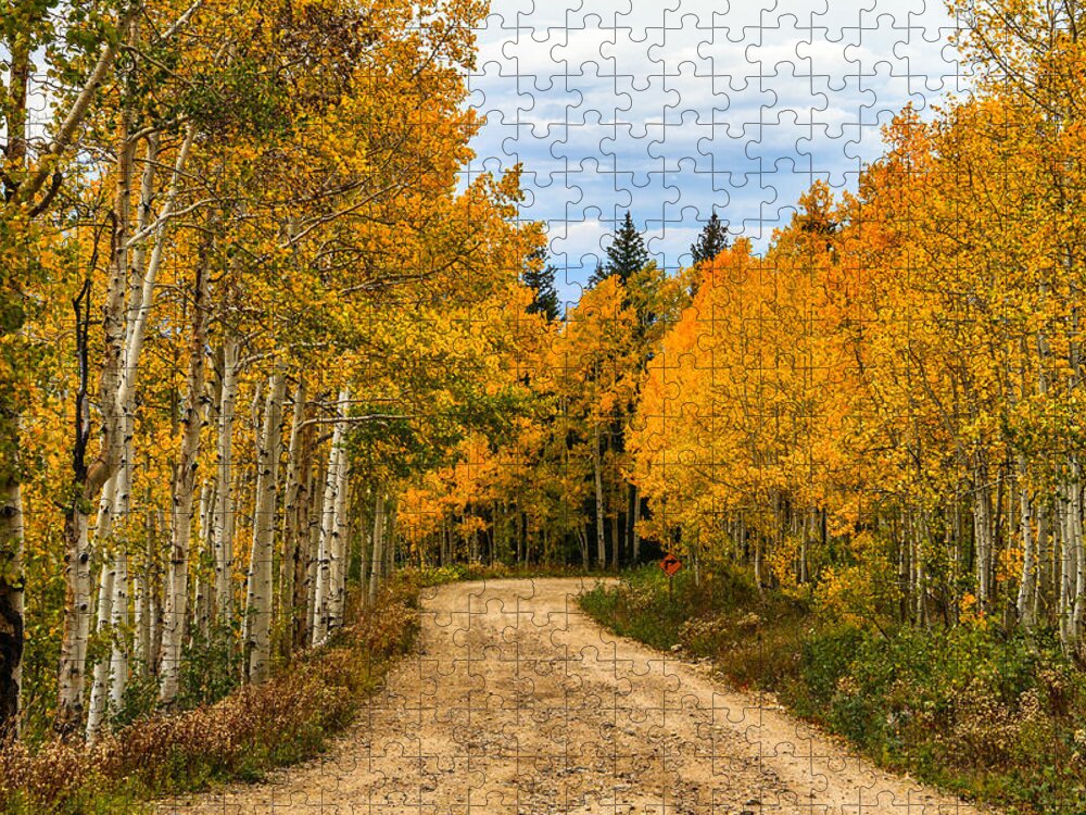 Fall Color Jigsaw Puzzle featuring the photograph Road To Fall by Juli Ellen