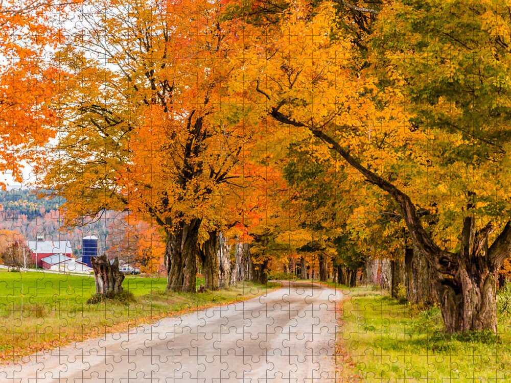 Trees Jigsaw Puzzle featuring the photograph Road to the Farm by Tim Kirchoff