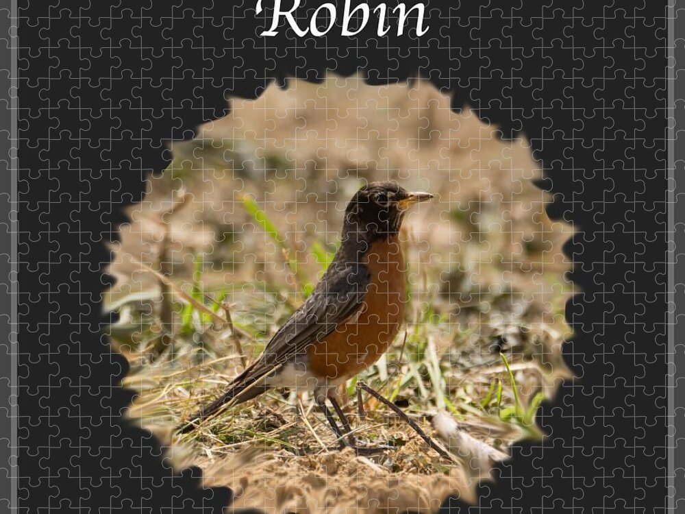Robin Jigsaw Puzzle featuring the photograph Robin by Holden The Moment