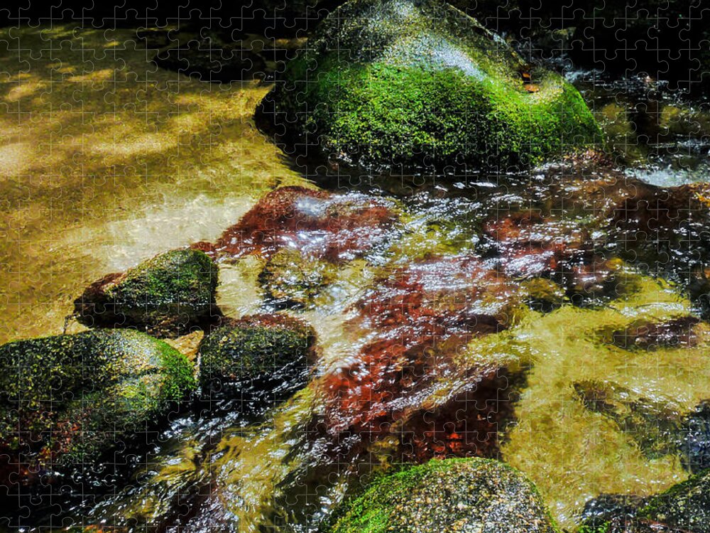 Tropical Queensland Series By Lexa Harpell Jigsaw Puzzle featuring the photograph Rock Pool - Mossman Gorge, Far Narth Queensland, Australia by Lexa Harpell