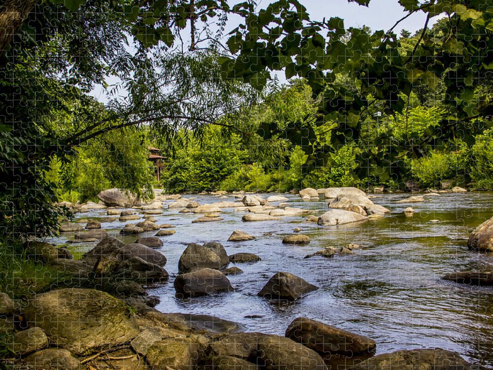 River Jigsaw Puzzle featuring the photograph Rocky Broad River by Allen Nice-Webb
