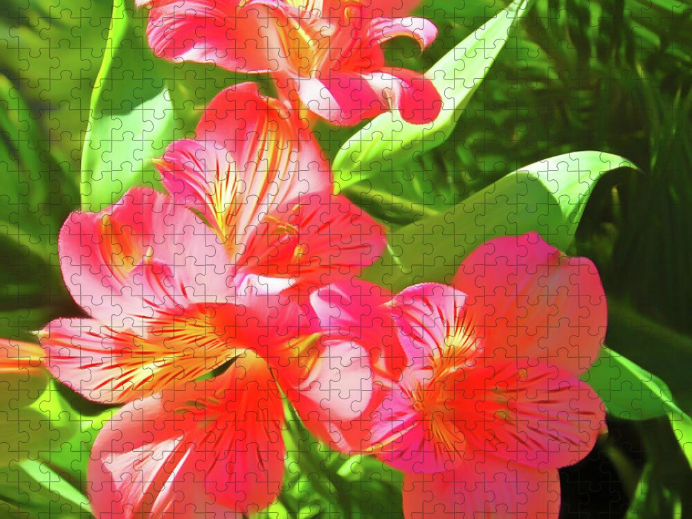 Flower Jigsaw Puzzle featuring the photograph Romantic Skies Pink and Green by Aimee L Maher ALM GALLERY