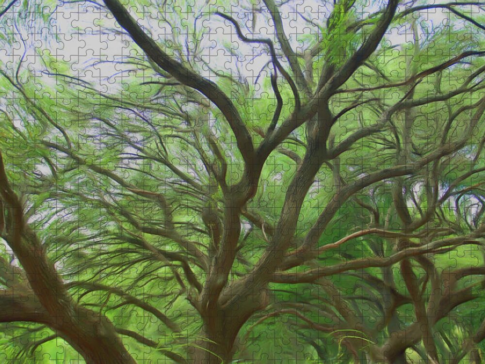 Oak Tree Jigsaw Puzzle featuring the photograph Romantic Skies Reaching Out by Aimee L Maher ALM GALLERY