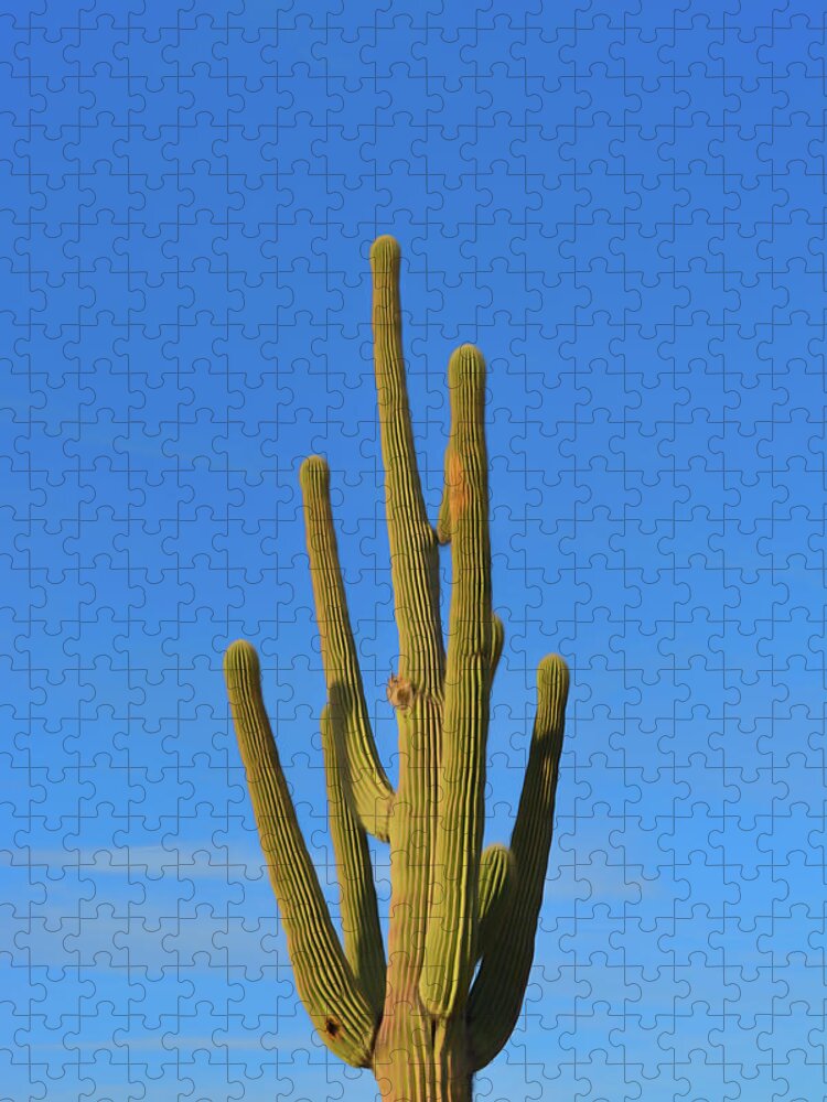 Saguaro Jigsaw Puzzle featuring the photograph Romantic Skies Saguaro Cactus by Aimee L Maher ALM GALLERY