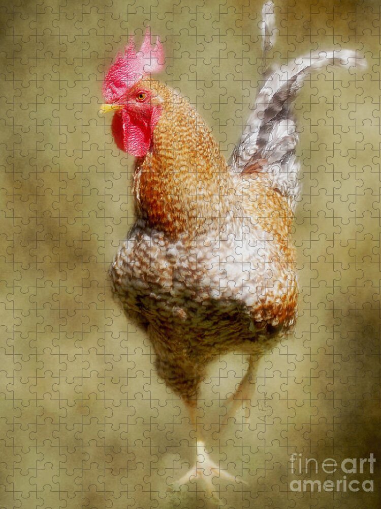 Rooster Jr. Jigsaw Puzzle featuring the photograph Rooster Jr. by Anita Faye