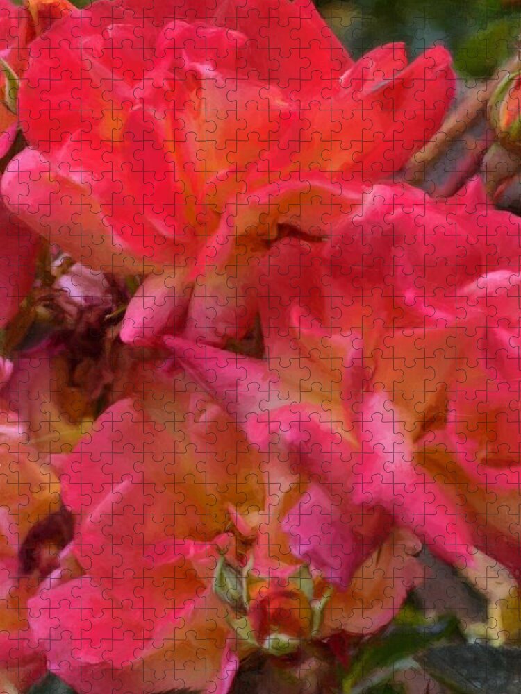 Floral Jigsaw Puzzle featuring the photograph Rose 343 by Pamela Cooper