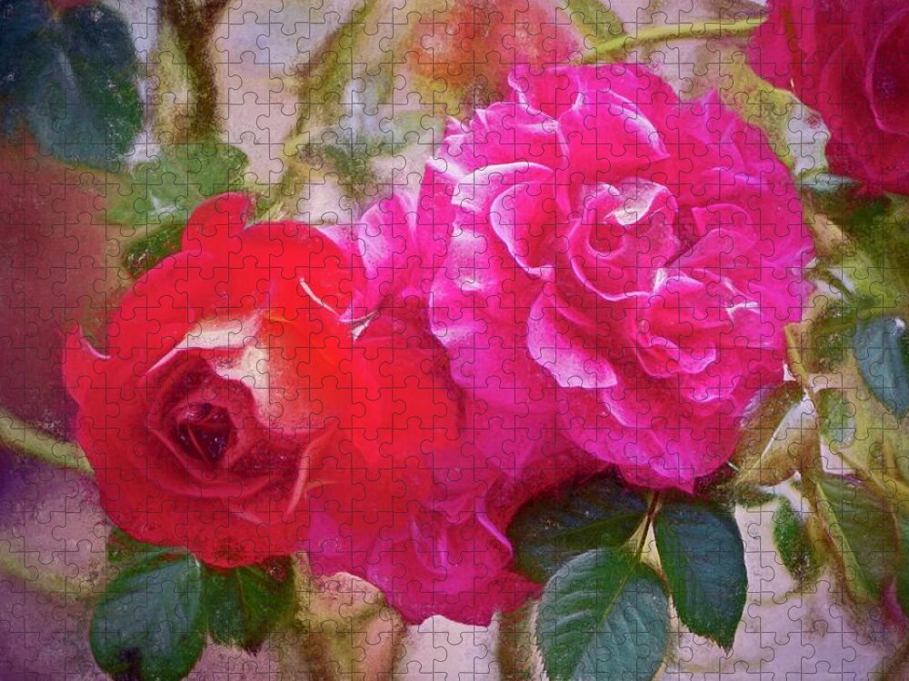 Floral Jigsaw Puzzle featuring the photograph Rose 373 by Pamela Cooper