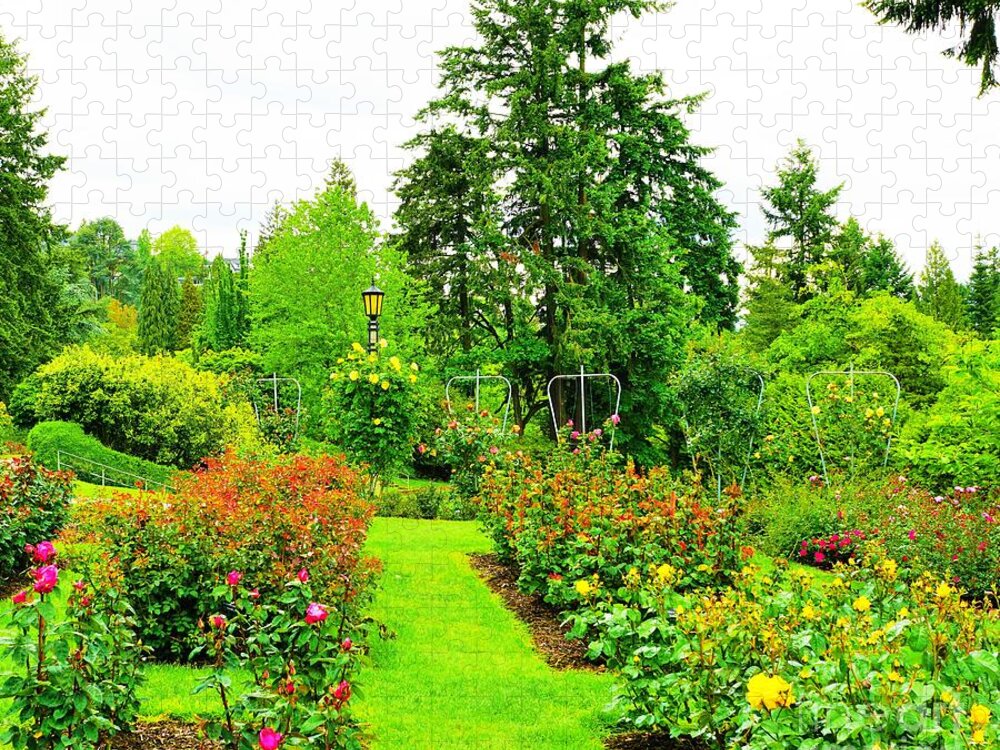 Rose Garden Jigsaw Puzzle featuring the photograph Rose garden, Portland Oregon by Merle Grenz