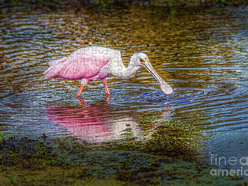 Photographs Jigsaw Puzzle featuring the photograph Roseate Spoonbill by Felix Lai