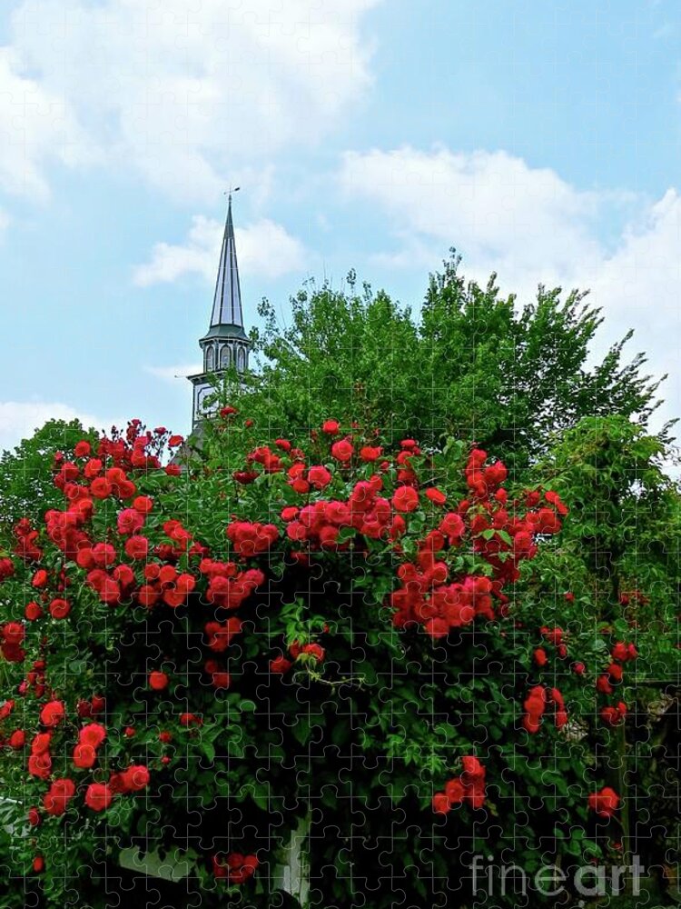 Mauricetown Jigsaw Puzzle featuring the photograph Roses on the Fence in Mauricetown by Nancy Patterson