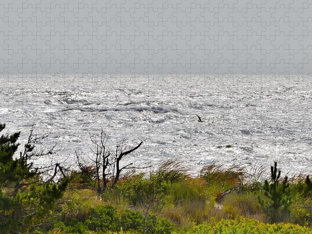 Beach Jigsaw Puzzle featuring the photograph Rough Seas - Delaware State Park by Kim Bemis
