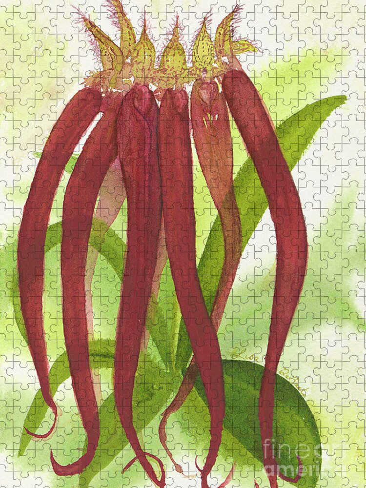 Bulbophylum Jigsaw Puzzle featuring the painting Roys Coolest Bulbophylum Orchid Ever by Lisa Debaets