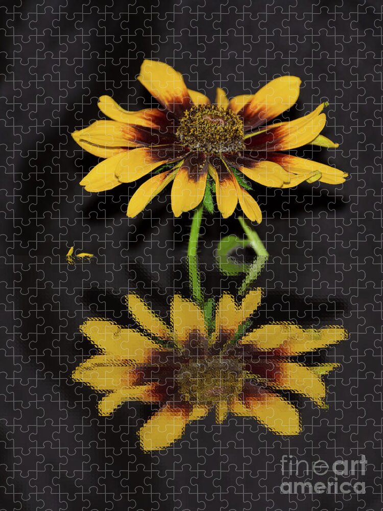 Reflection Jigsaw Puzzle featuring the photograph Rudbeckia Reflection by Donna Brown
