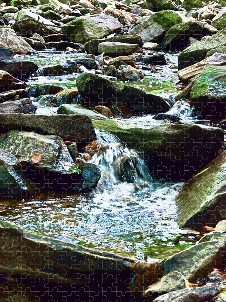 Stream Jigsaw Puzzle featuring the photograph Running Stream by La Dolce Vita