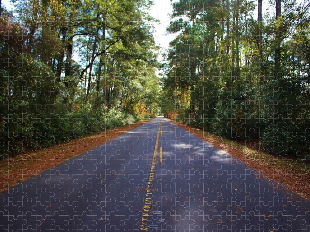 Road Jigsaw Puzzle featuring the photograph Rural Road by Cynthia Guinn