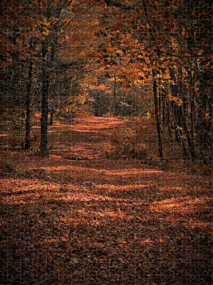 Autumn Jigsaw Puzzle featuring the photograph Rustling Pathway by Gary Blackman