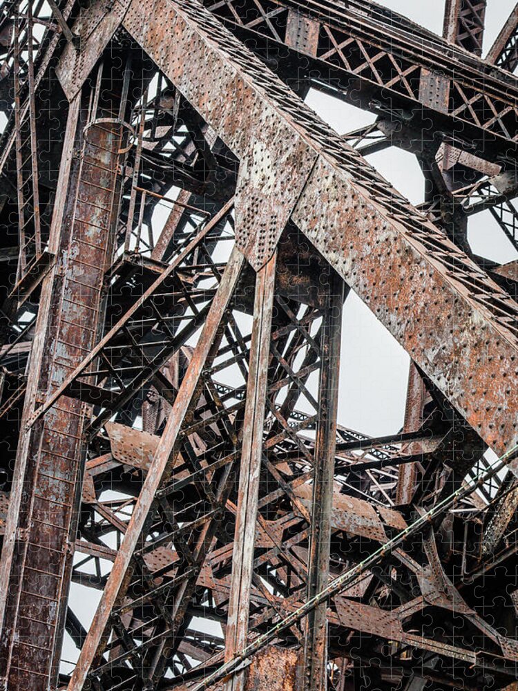 Chicago Jigsaw Puzzle featuring the photograph Rusty Iron by Anthony Doudt