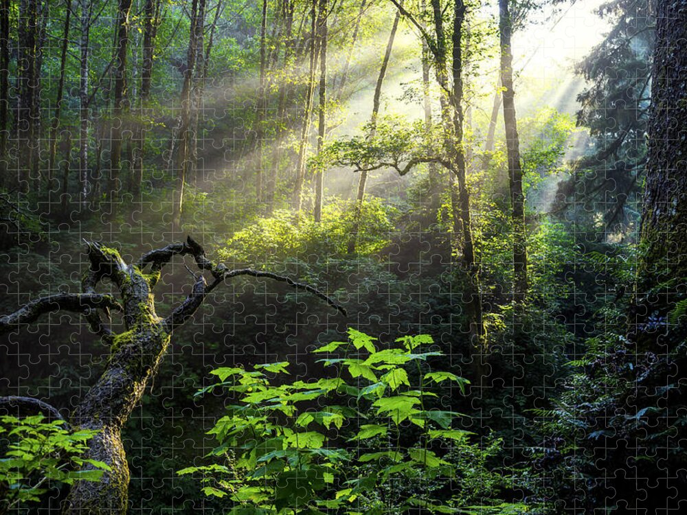 Light Jigsaw Puzzle featuring the photograph Sacred Light by Chad Dutson