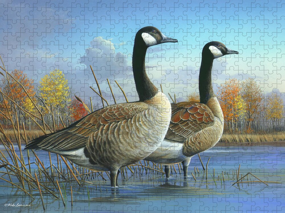 Canada Goose Jigsaw Puzzle featuring the painting Safe from Harm by Mike Brown