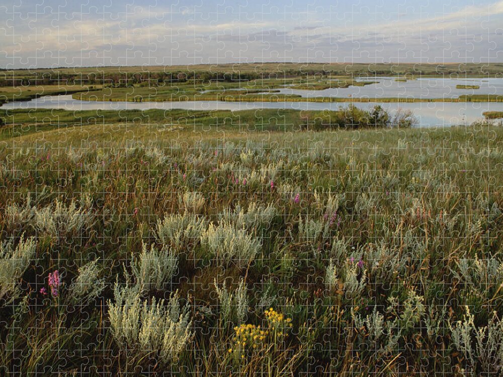 Mp Puzzle featuring the photograph Sage Prairie And Marsh In Upper Souris by Gerry Ellis