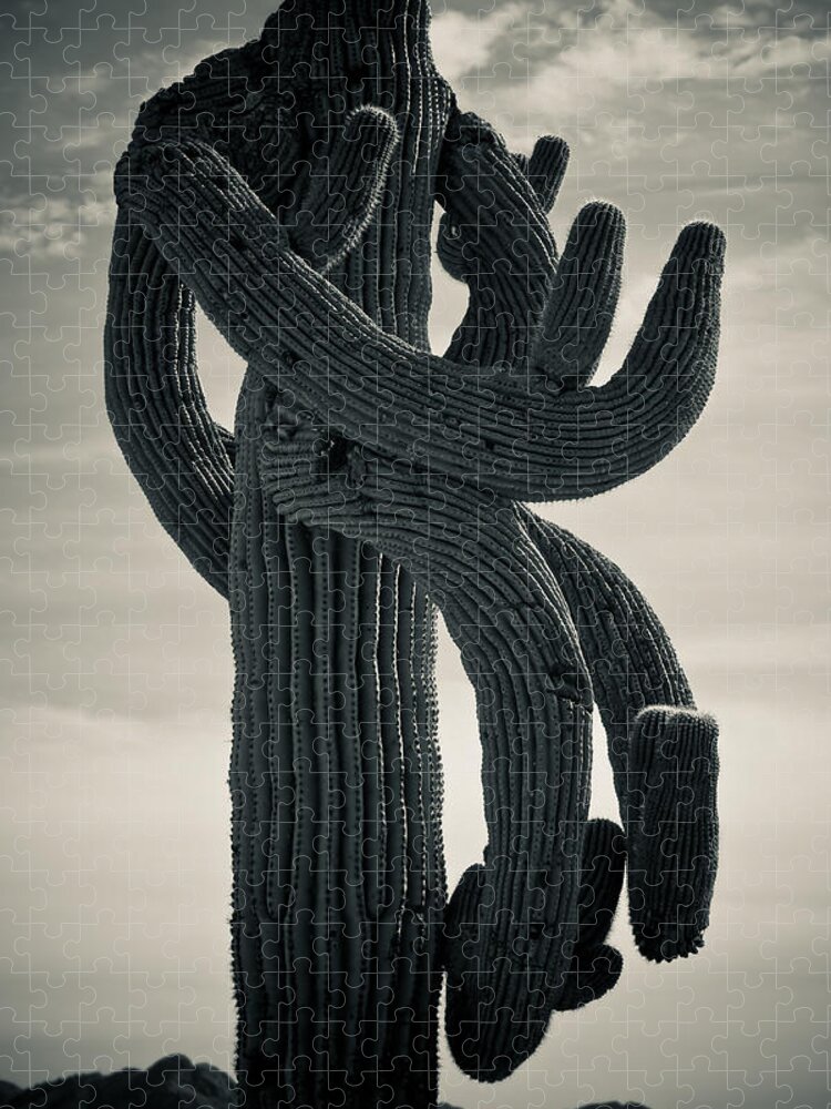Saguaro Jigsaw Puzzle featuring the photograph Saguaro Cactus Armed and twisted by James BO Insogna